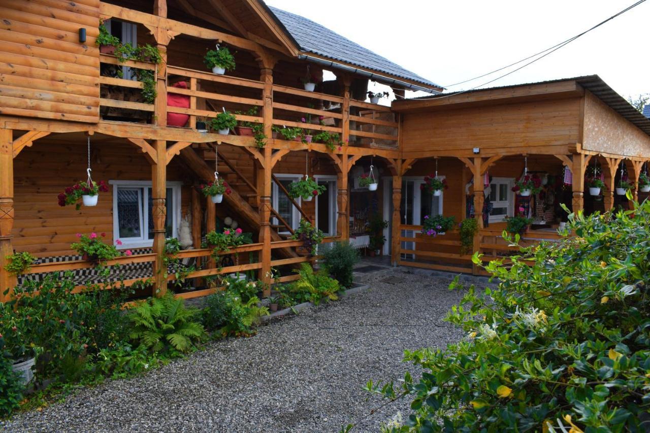 Casa Vladicu Hotel Breb Bagian luar foto
