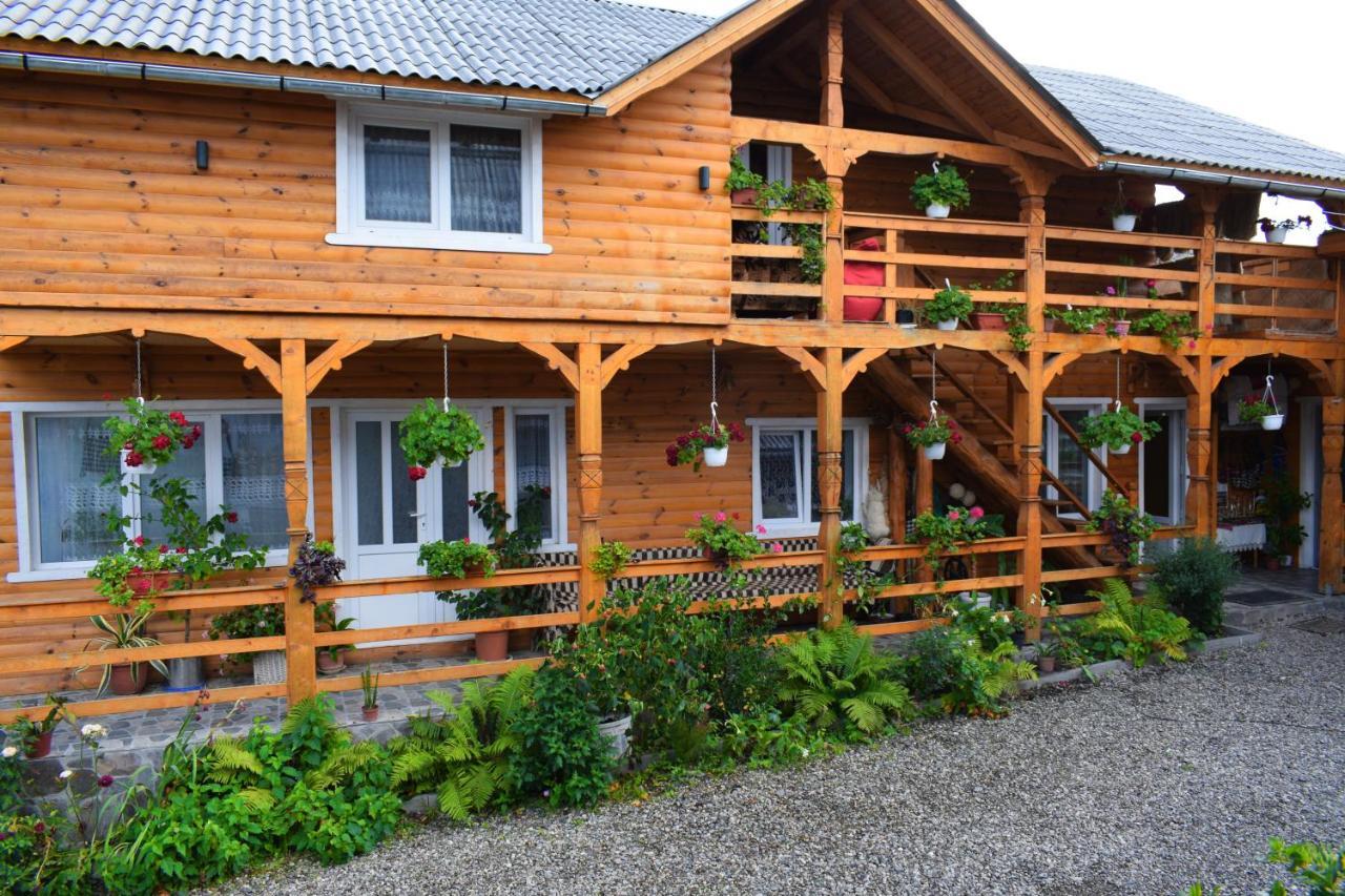 Casa Vladicu Hotel Breb Bagian luar foto