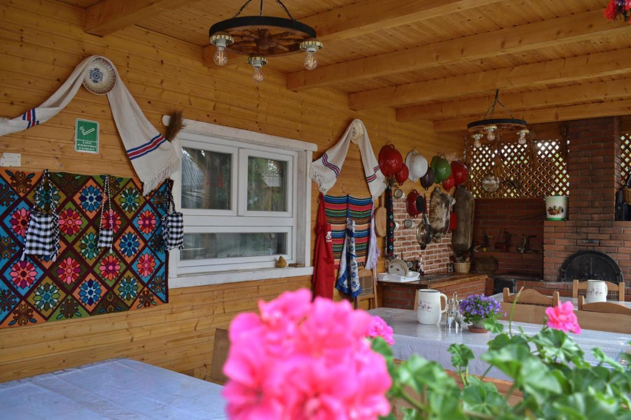 Casa Vladicu Hotel Breb Bagian luar foto