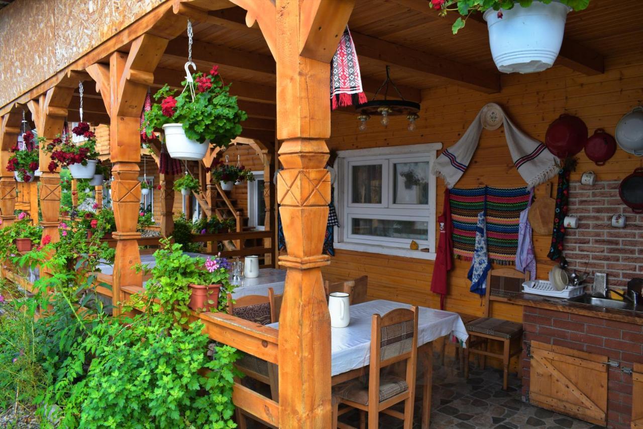 Casa Vladicu Hotel Breb Bagian luar foto