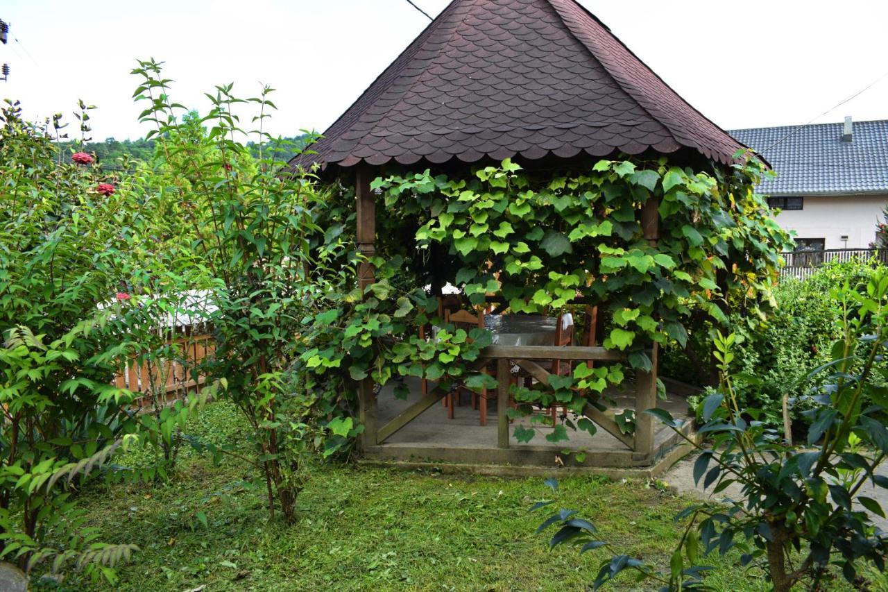 Casa Vladicu Hotel Breb Bagian luar foto
